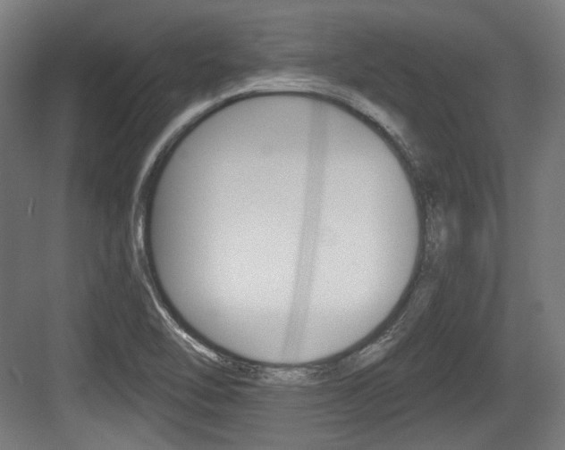 X0000084041462200702160841