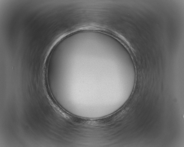 X0000084041463200702160841