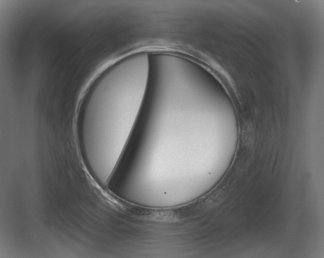 X0000084041464200702160841