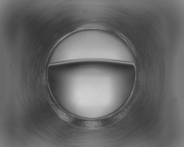 X0000084041465200702160841