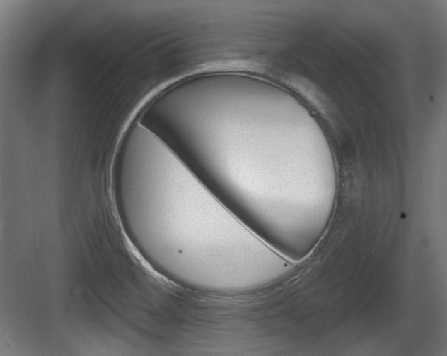 X0000084041468200702160841