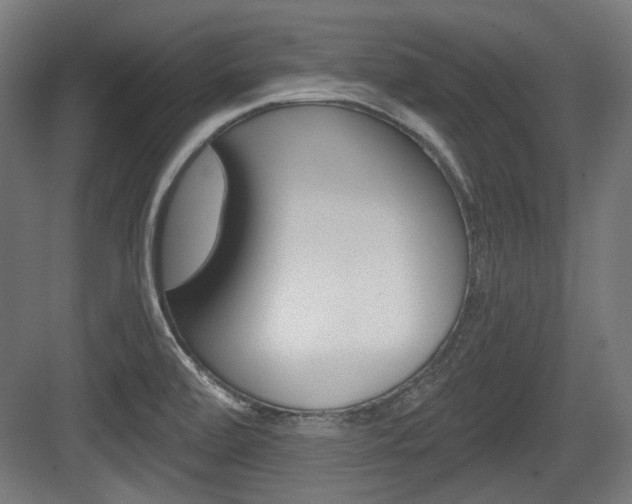 X0000084041472200702160841