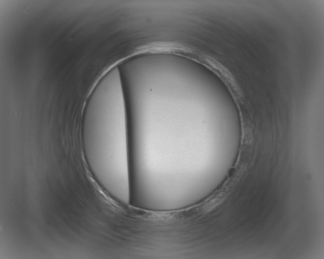 X0000084041473200702160840