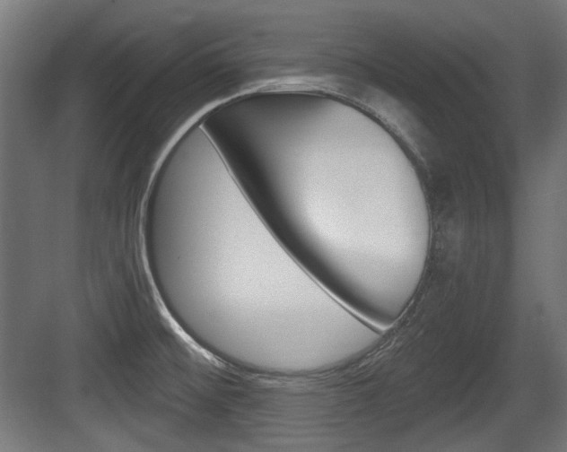 X0000084041476200702160840