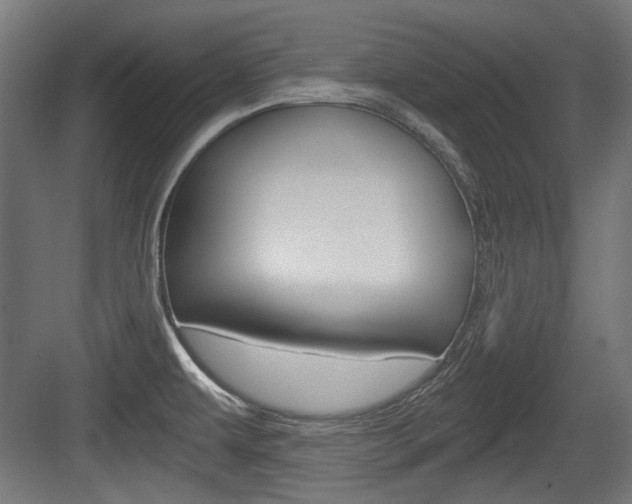 X0000084041479200702160840