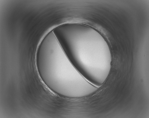 X0000084041480200702160840