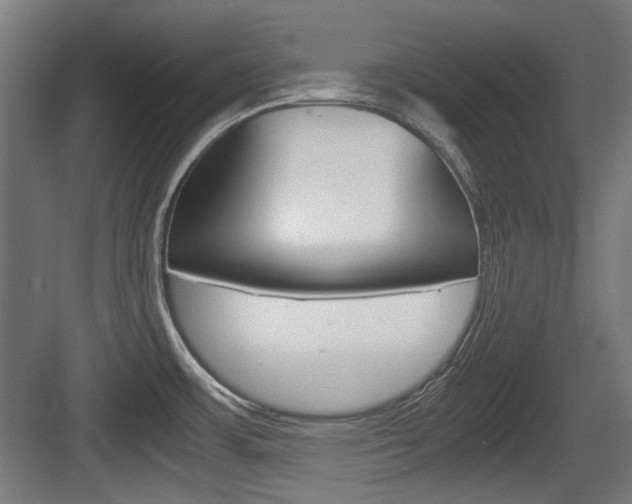 X0000084041483200702160840