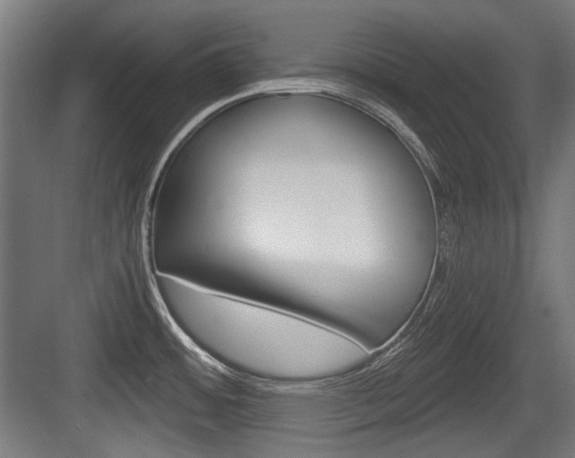 X0000084041484200702160840
