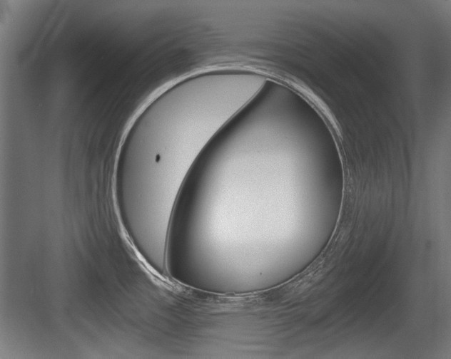 X0000084041485200702160840