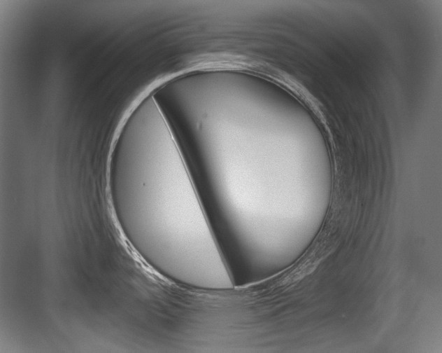 X0000084041488200702160840
