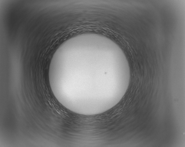 X0000084041489200702160839