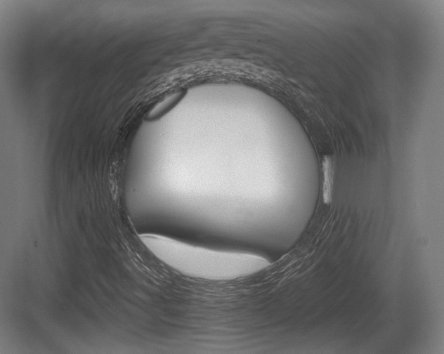 X0000084041491200702160839