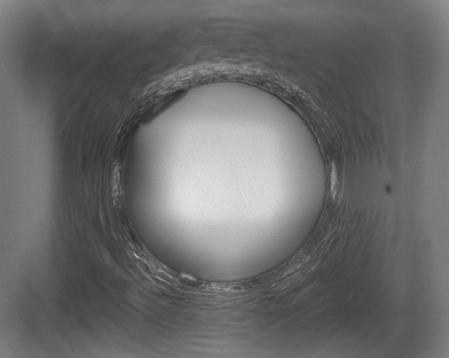 X0000084041492200702160839