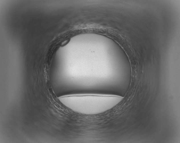 X0000084041493200702160840