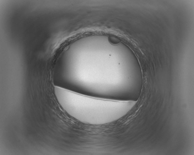 X0000084041494200702160840