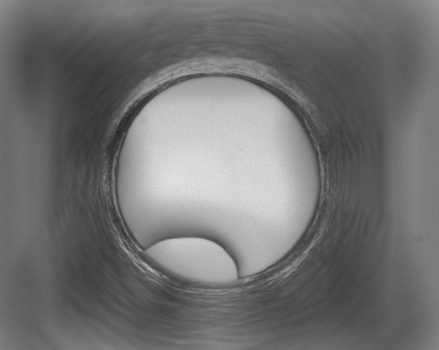 X0000084041498200702160840