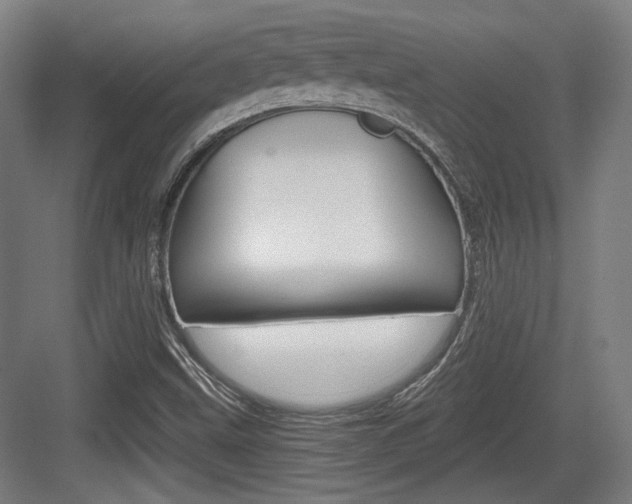 X0000084041499200702160840