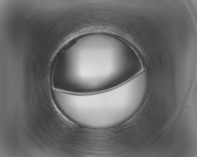 X0000084041500200702160840