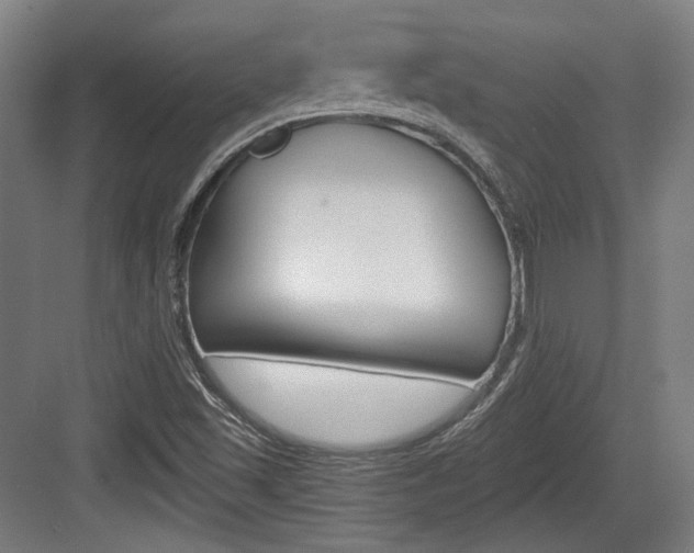 X0000084041501200702160840