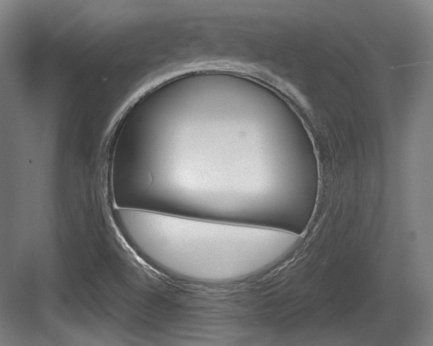 X0000084041504200702160840