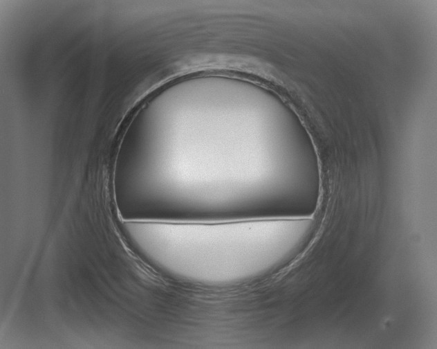 X0000084041505200702160840