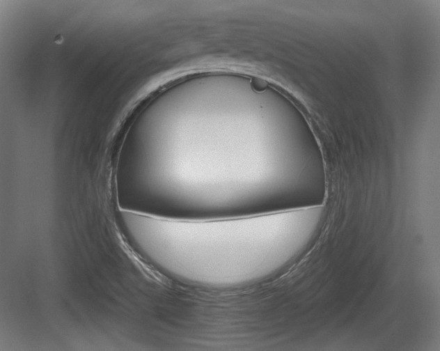 X0000084041507200702160840