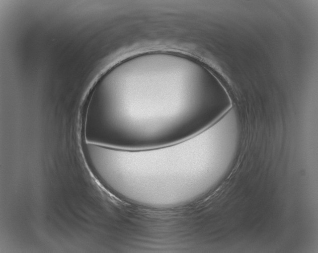 X0000084041508200702160840