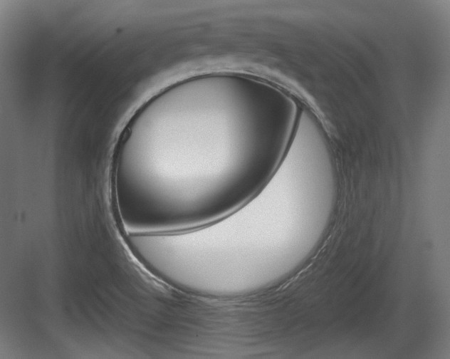 X0000084041512200702160840