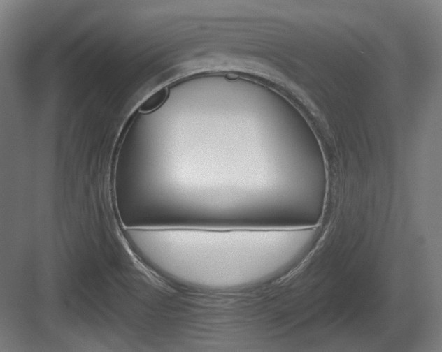 X0000084041513200702160840