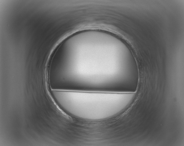 X0000084041517200702160840