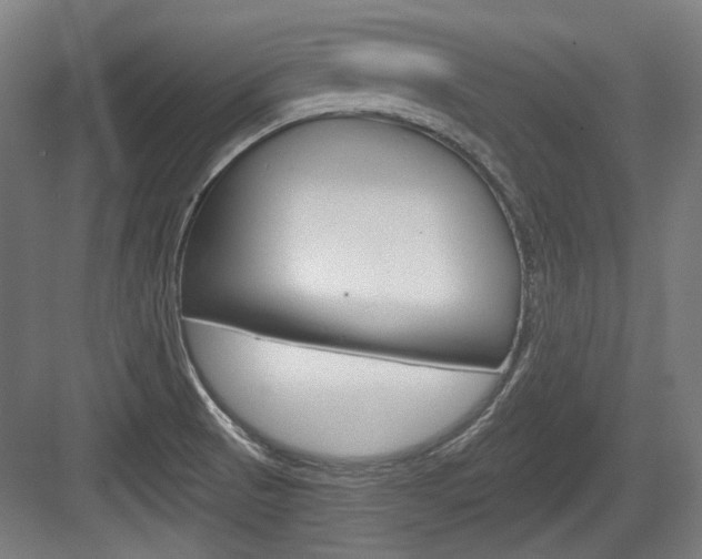 X0000084041521200702160840