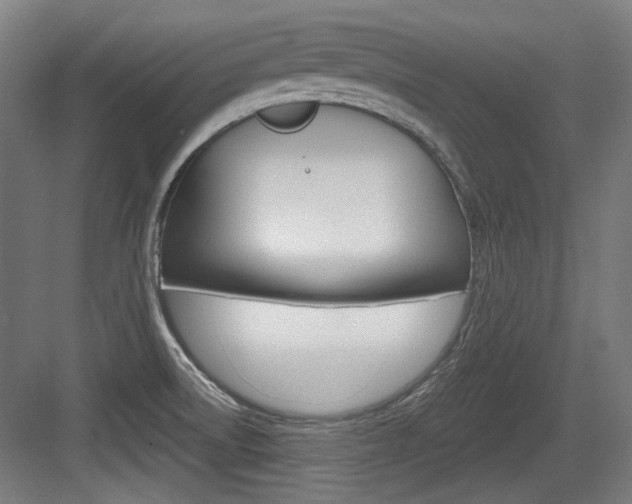 X0000084041522200702160840