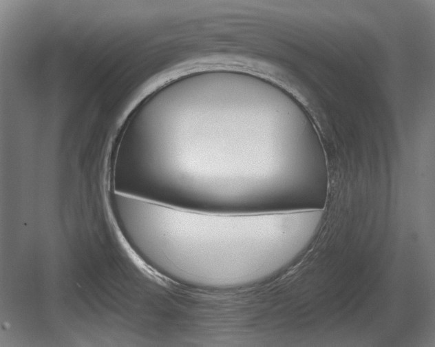 X0000084041523200702160840