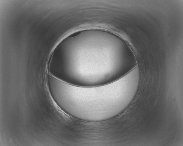 X0000084041524200702160840