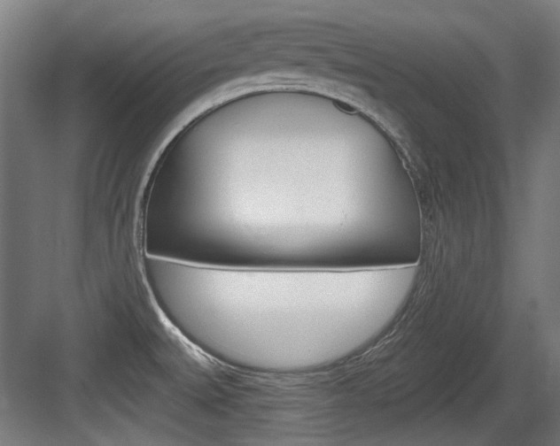 X0000084041527200702160840