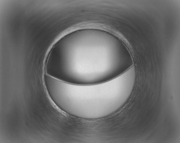 X0000084041528200702160840