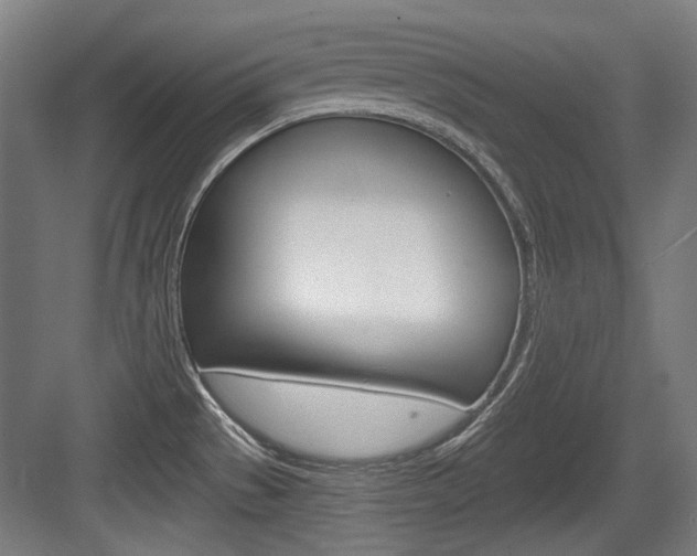 X0000084041529200702160840