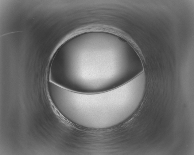 X0000084041530200702160840