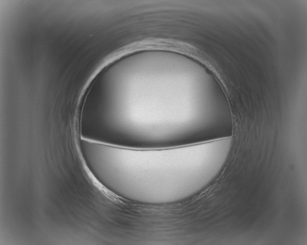 X0000084041531200702160840