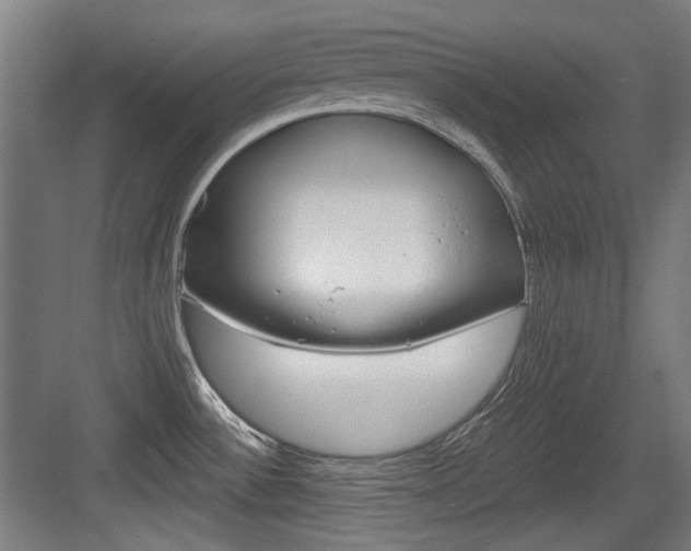 X0000084041532200702160840