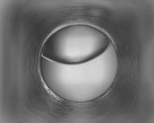 X0000084041534200702160840