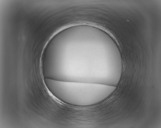 X0000084041535200702160840