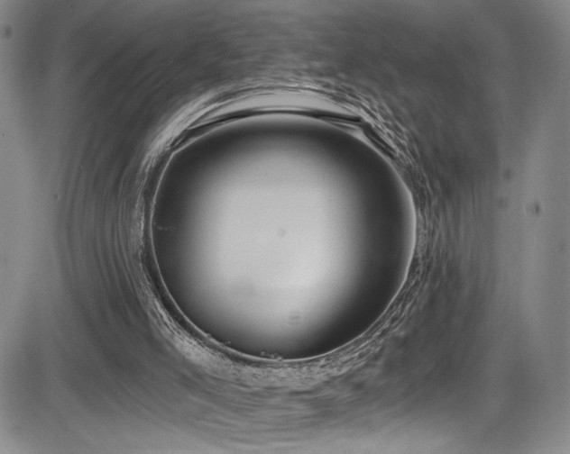 X0000084040005200702161446