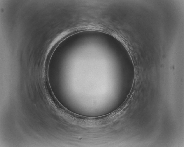 X0000084040008200702161446