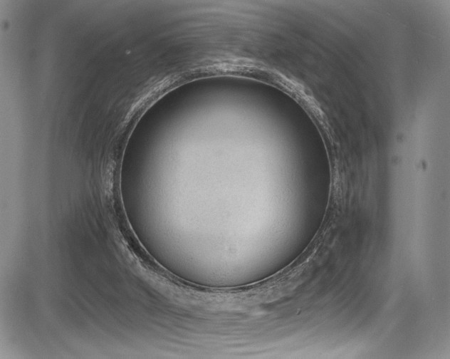 X0000084040010200702161446