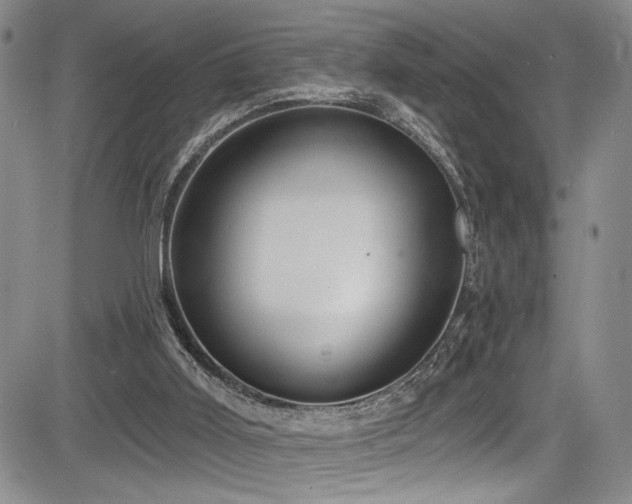 X0000084040011200702161446