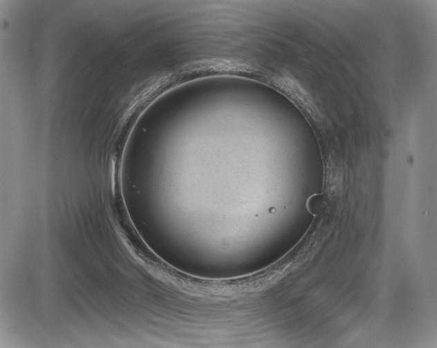 X0000084040014200702161446