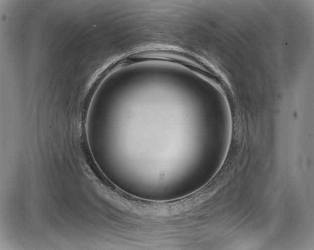 X0000084040015200702161446
