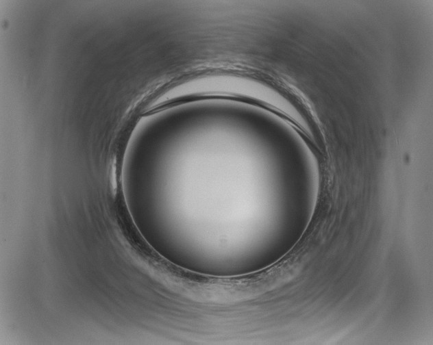 X0000084040020200702161446