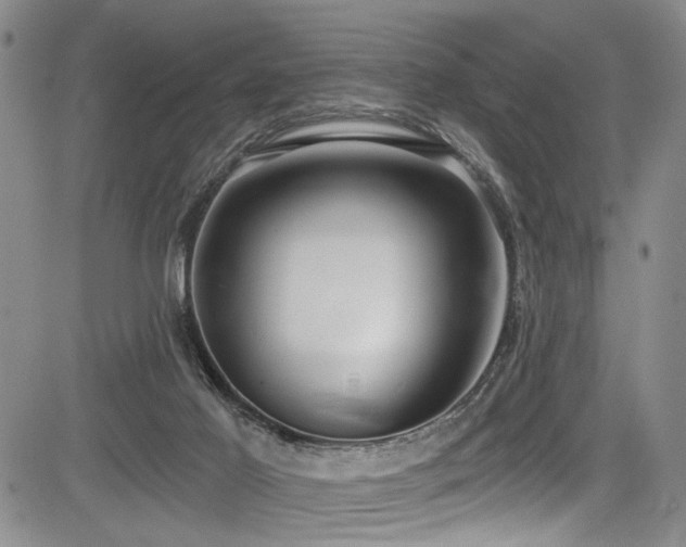 X0000084040021200702161446